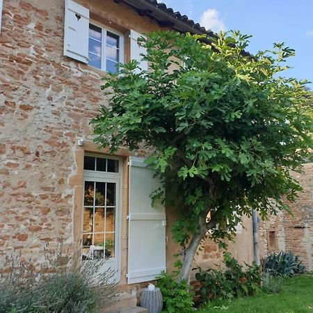 Le Gite Du Carge D'Arlay Charnay-les-Macon Luaran gambar